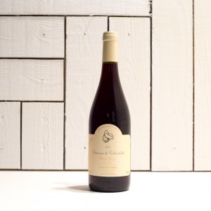 Domaine de Colombette Pinot Noir 2022 - £11.75 - Experience Wine