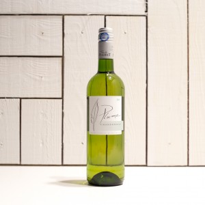 La Colombette Plume Chardonnay 2016 - £8.50 - Experience Wine